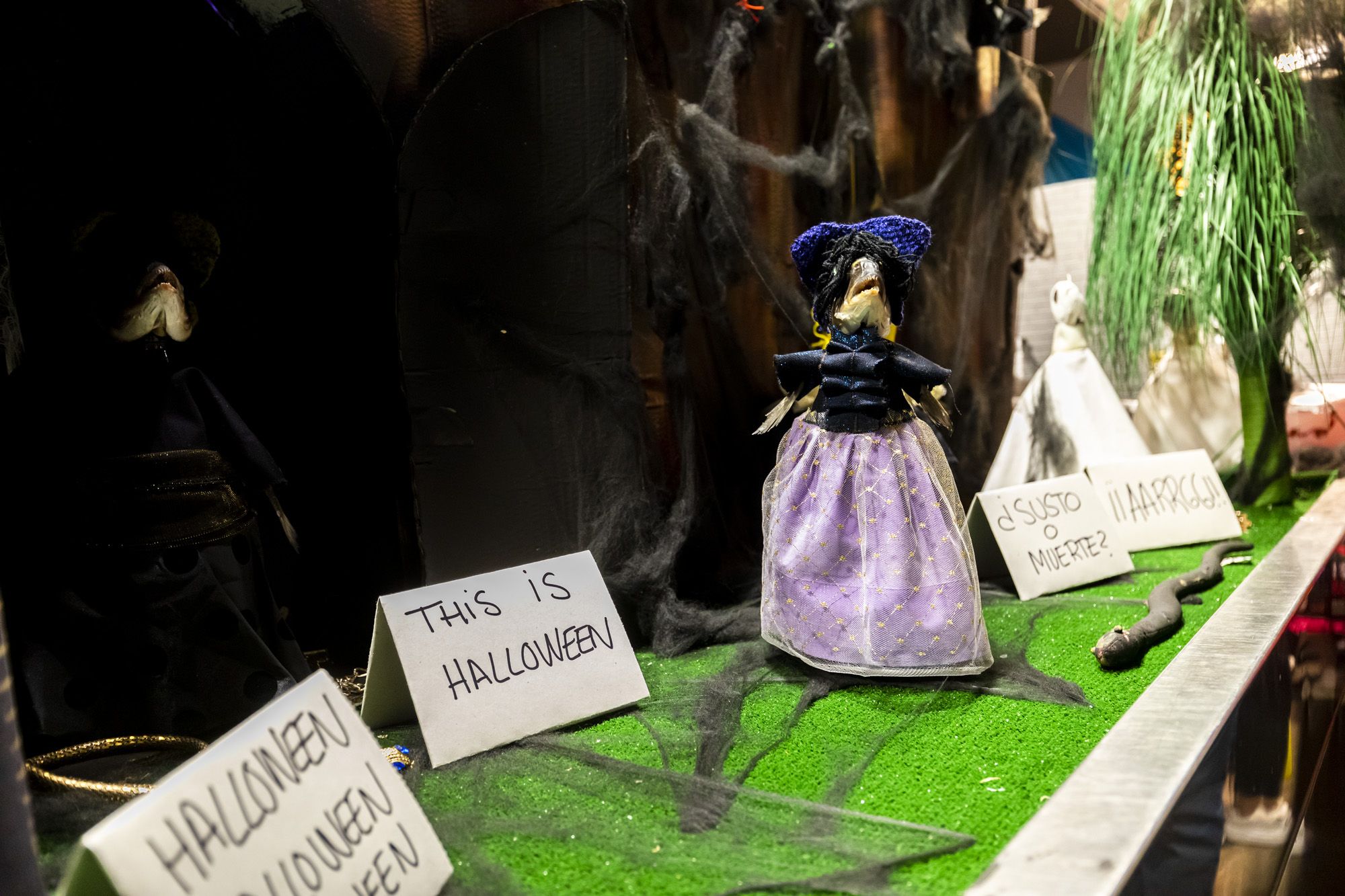 Halloween y Tosantos en Cádiz 50