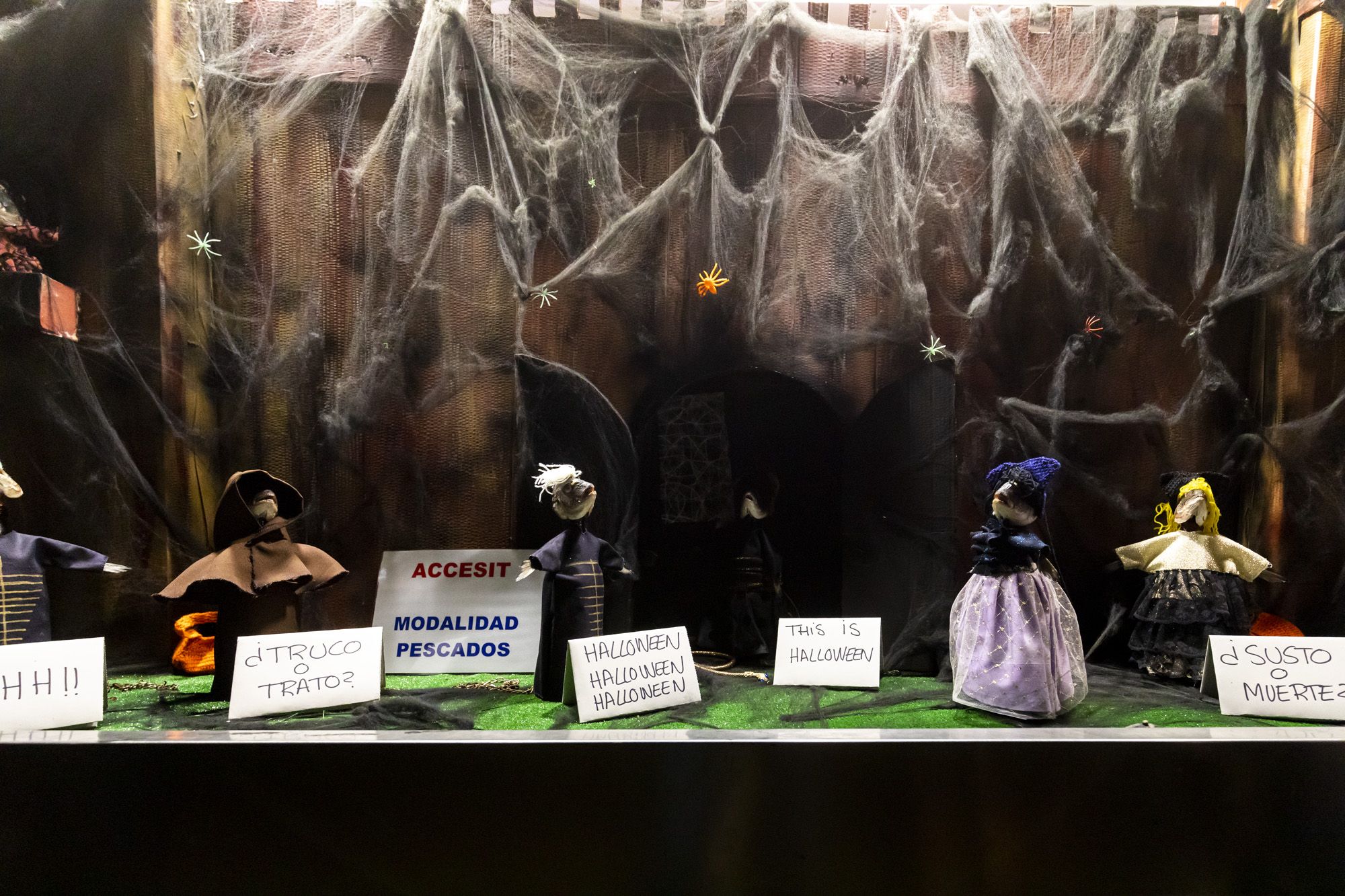 Halloween y Tosantos en Cádiz 51
