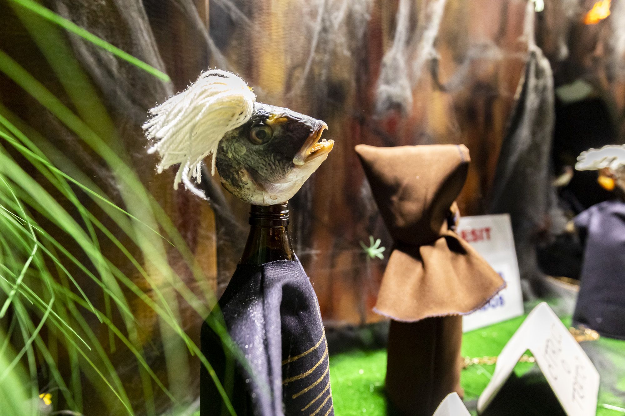 Halloween y Tosantos en Cádiz 55