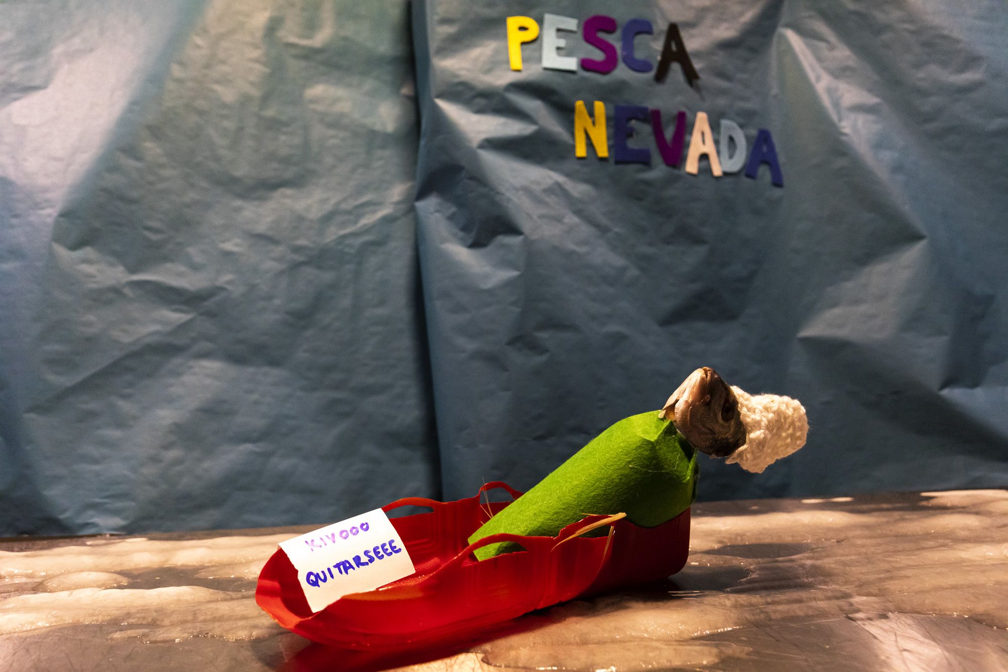 Halloween y Tosantos en Cádiz 59