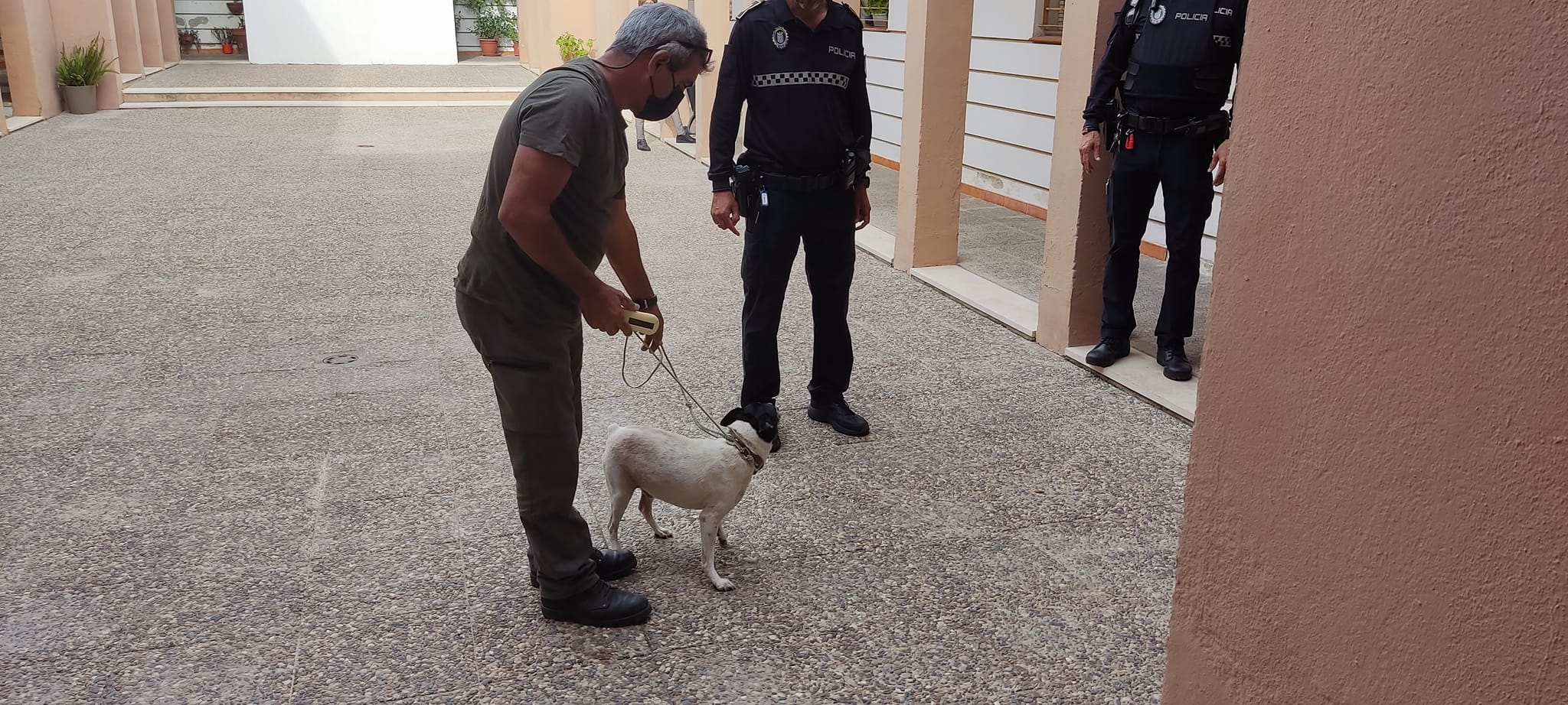 El perro rescatado en Jerez tras más de una semana solo. El perro rescatado en Jerez tras más de una semana solo.