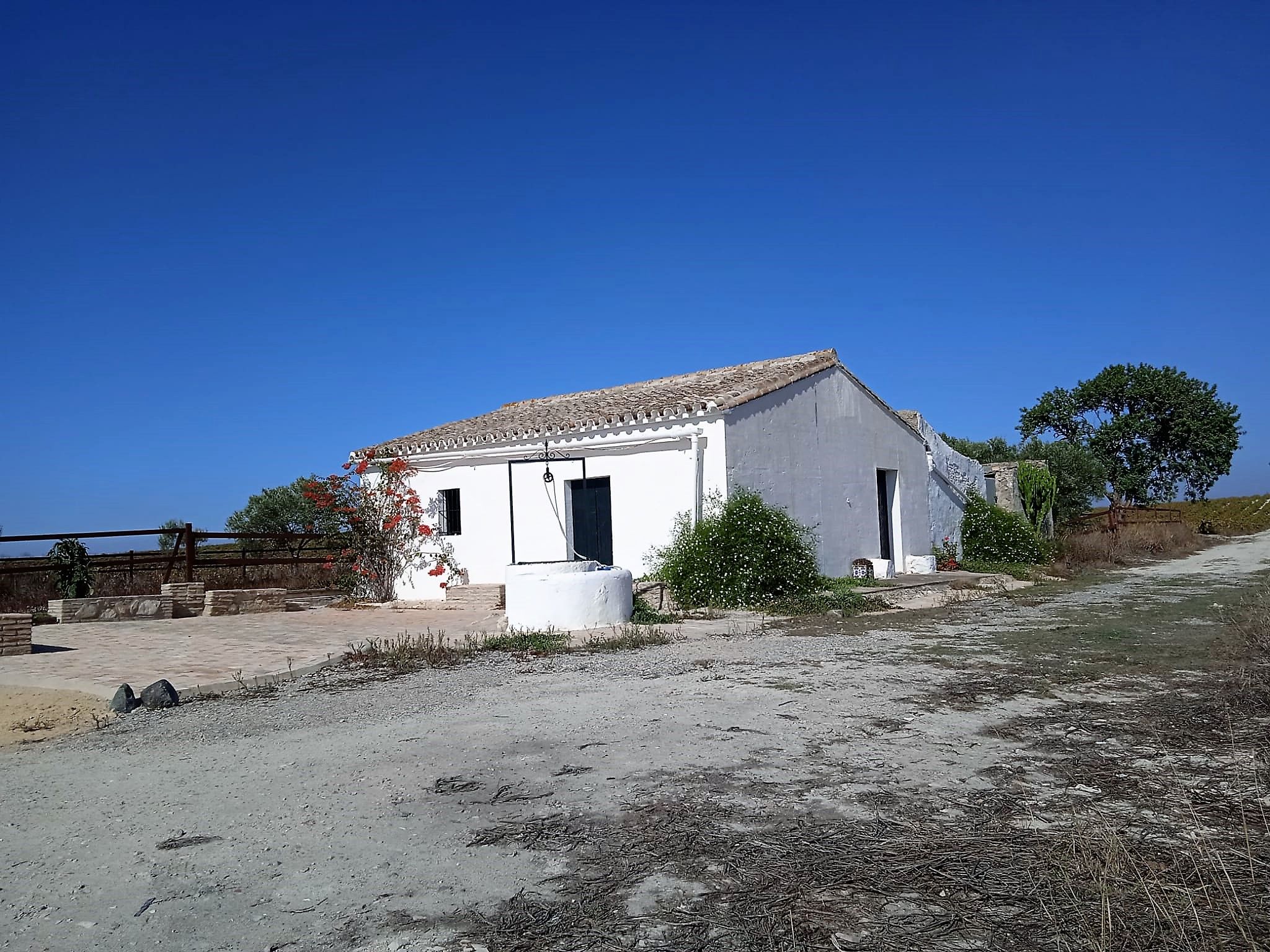 Lateral izquierdo con el aljibe en el antiguo almijar y puerta principal y algarrobo a su derecha.