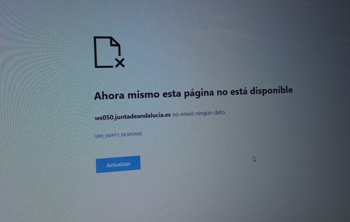 350.000 intentos de acceso en horas por el Bono Alquiler Joven en Andalucía: un colapso "jamás visto". 350.000 intentos de acceso en horas por el Bono Alquiler Joven en Andalucía: un colapso "jamás visto".