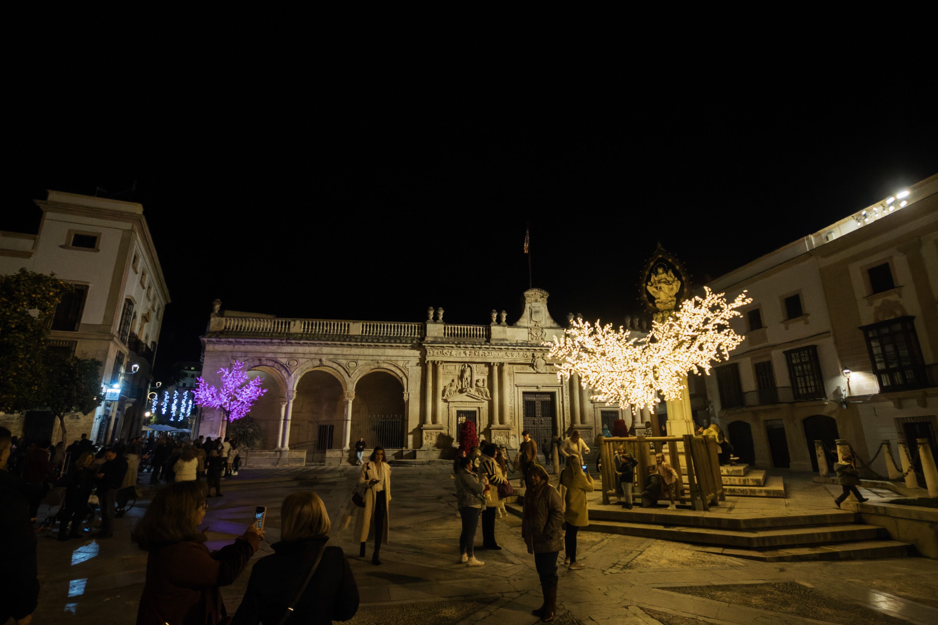 Encendido del alumbrado navideño en Jerez 19