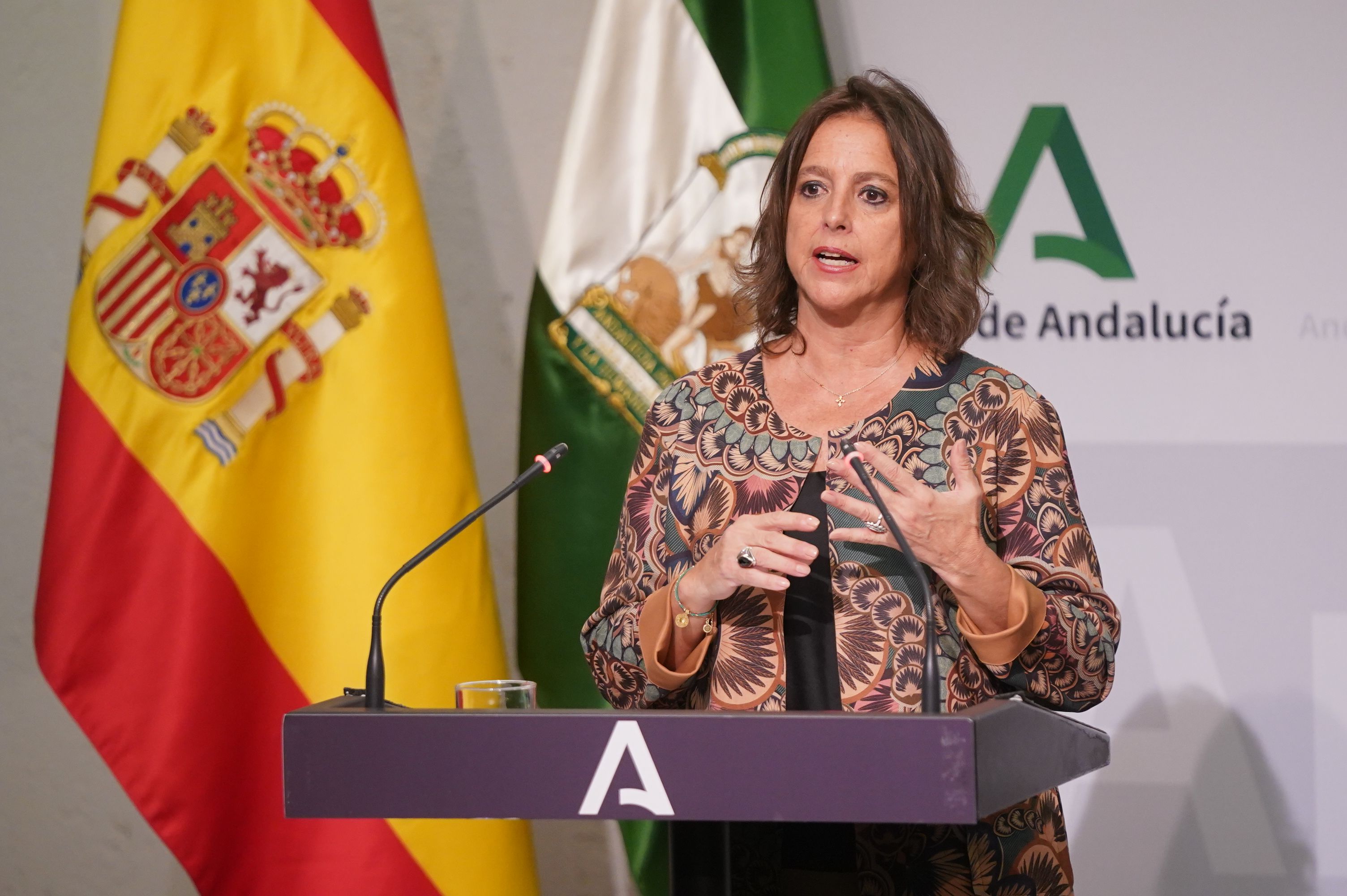 La consejera de Salud anunciando la renovación de los 12.000 sanitarios.