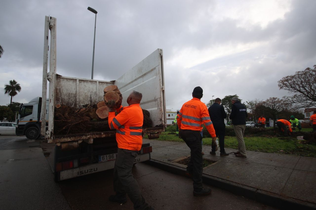 Operarios municipales retirando los restos del temporal.
