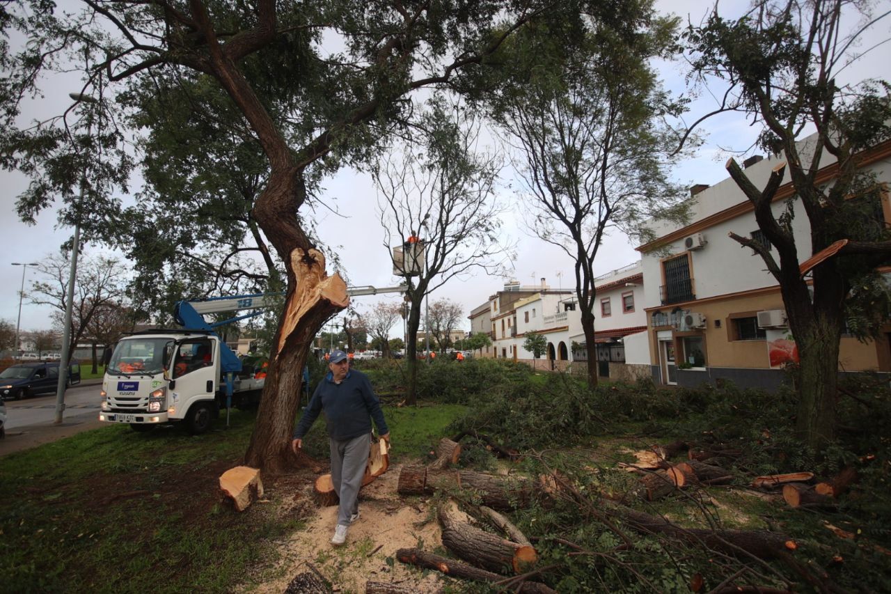 Los efectos del tornado en la barriada San José Obrero.