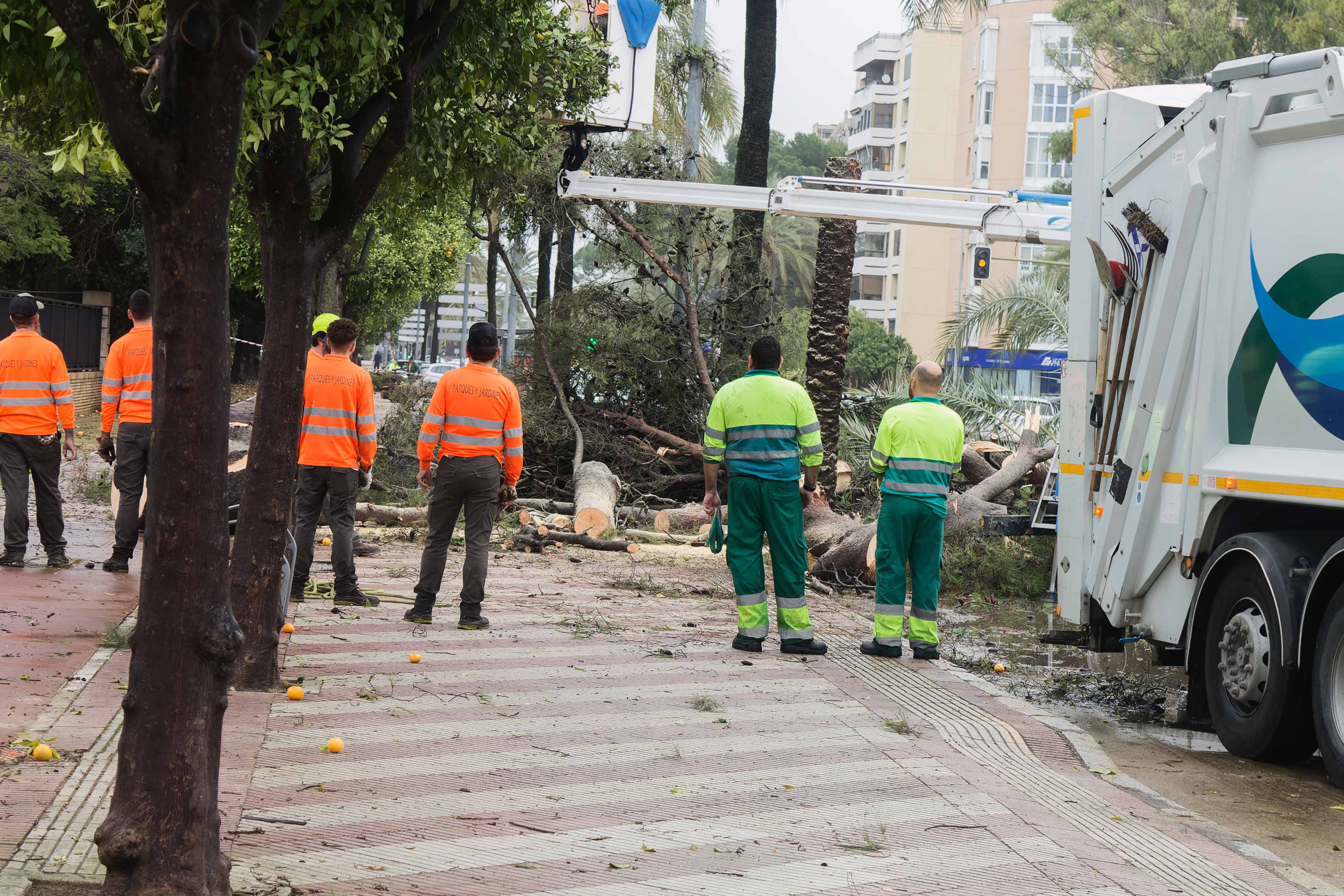 TORNADO JEREZ 14 DICIEMBRE 3