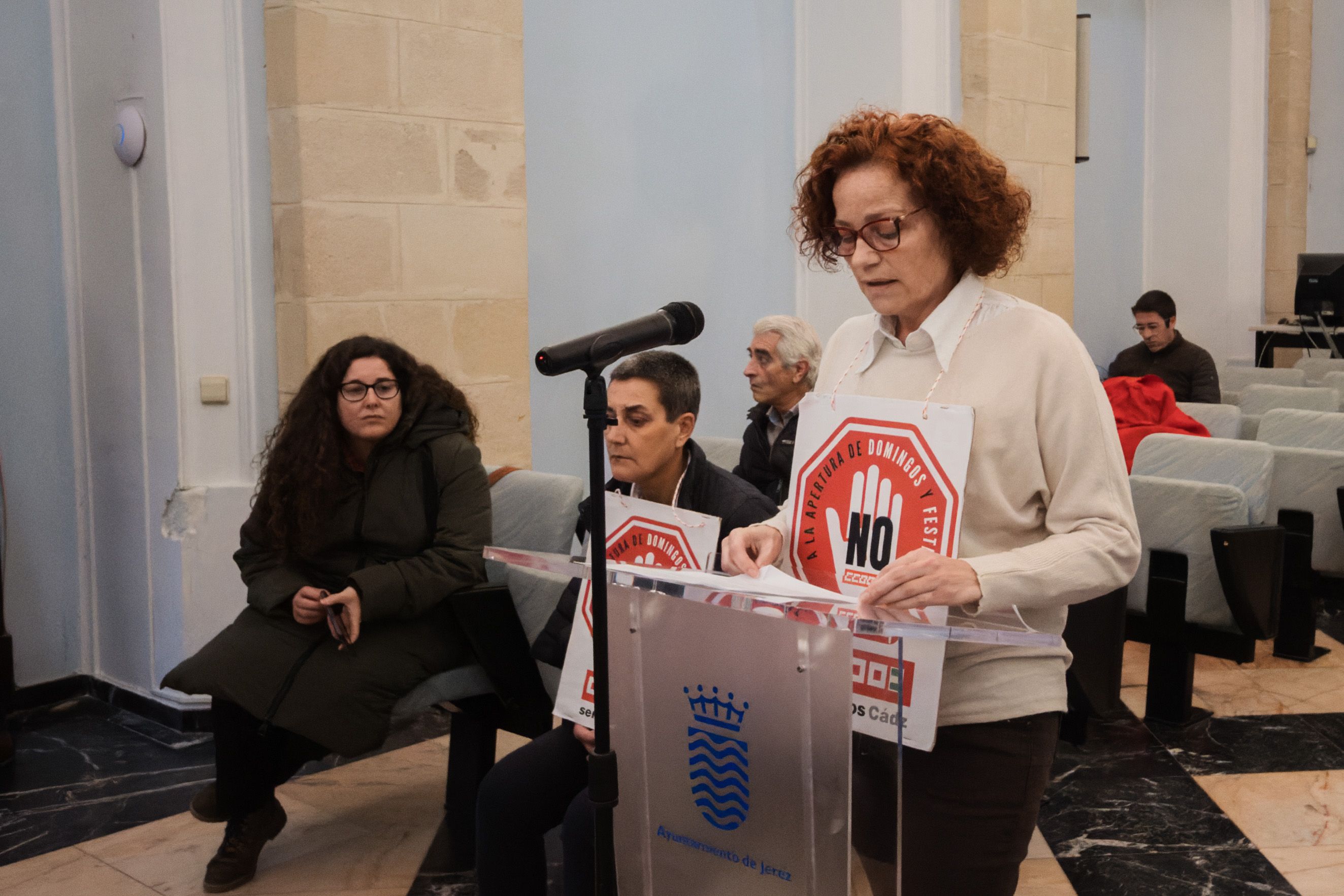 Intervención en el pleno por la Zona de Gran Afluencia Turística.