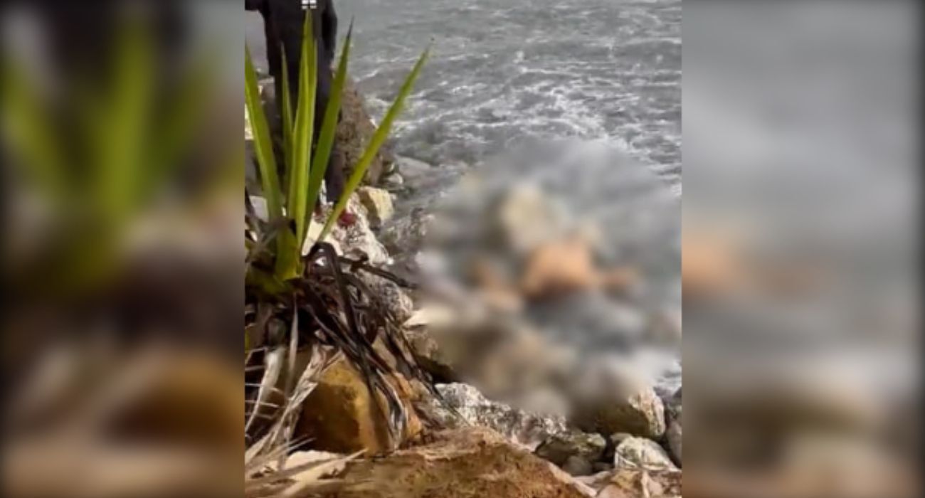 Imagen del cadáver encontrado entre las rocas de una playa de Marbella.