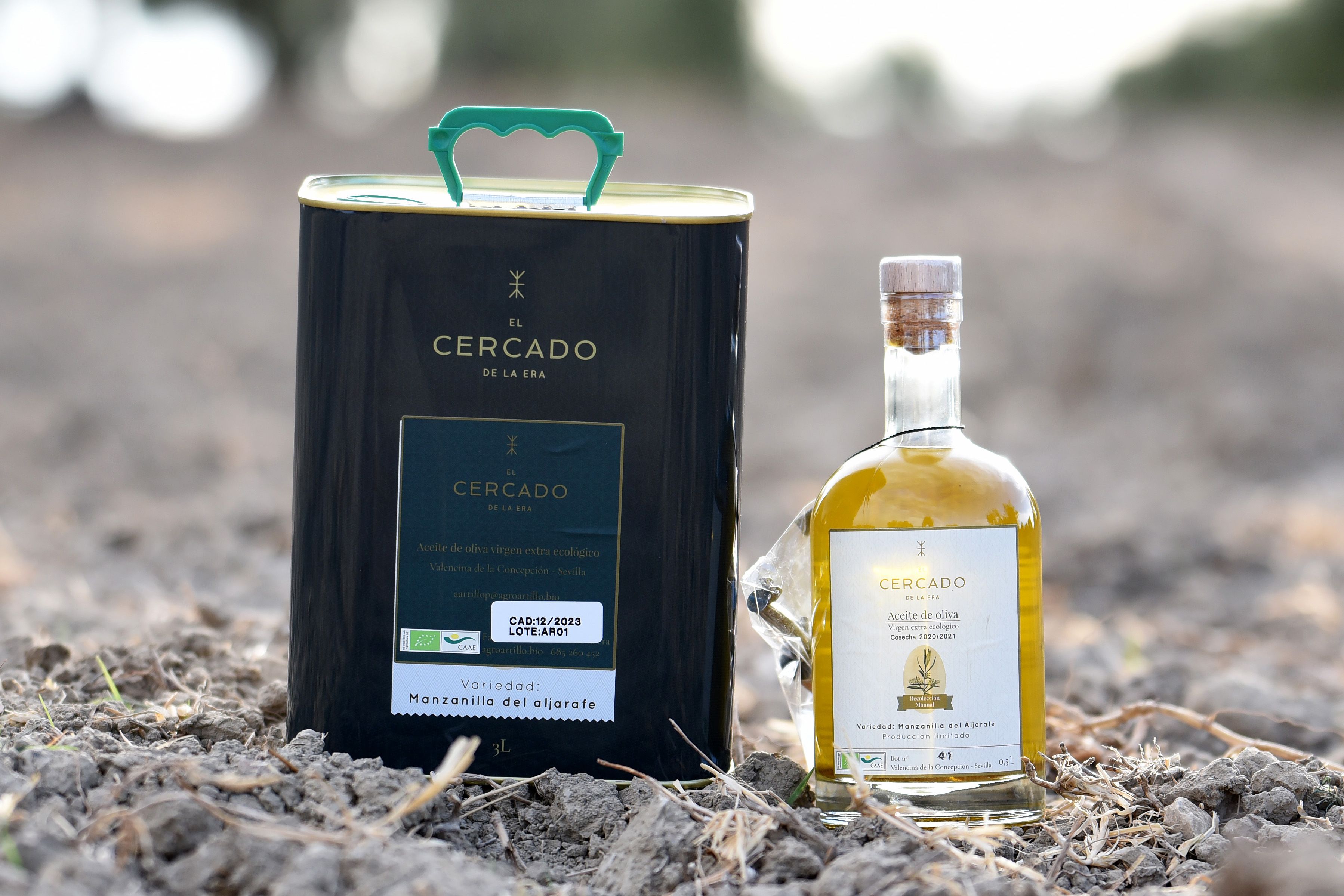 CERCADO DE LA ERA