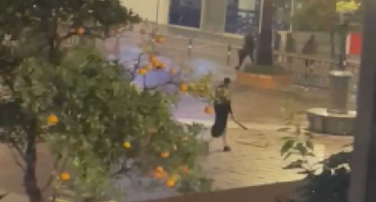 El yihadista, con el machete en la mano, en la plaza Alta de Algeciras. El yihadista, con el machete en la mano, en la plaza Alta de Algeciras.