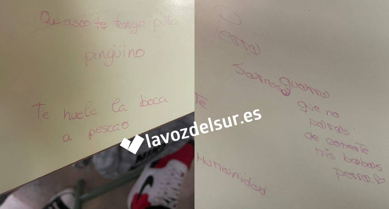 Insultos recibidos por una menor víctima de acoso escolar.