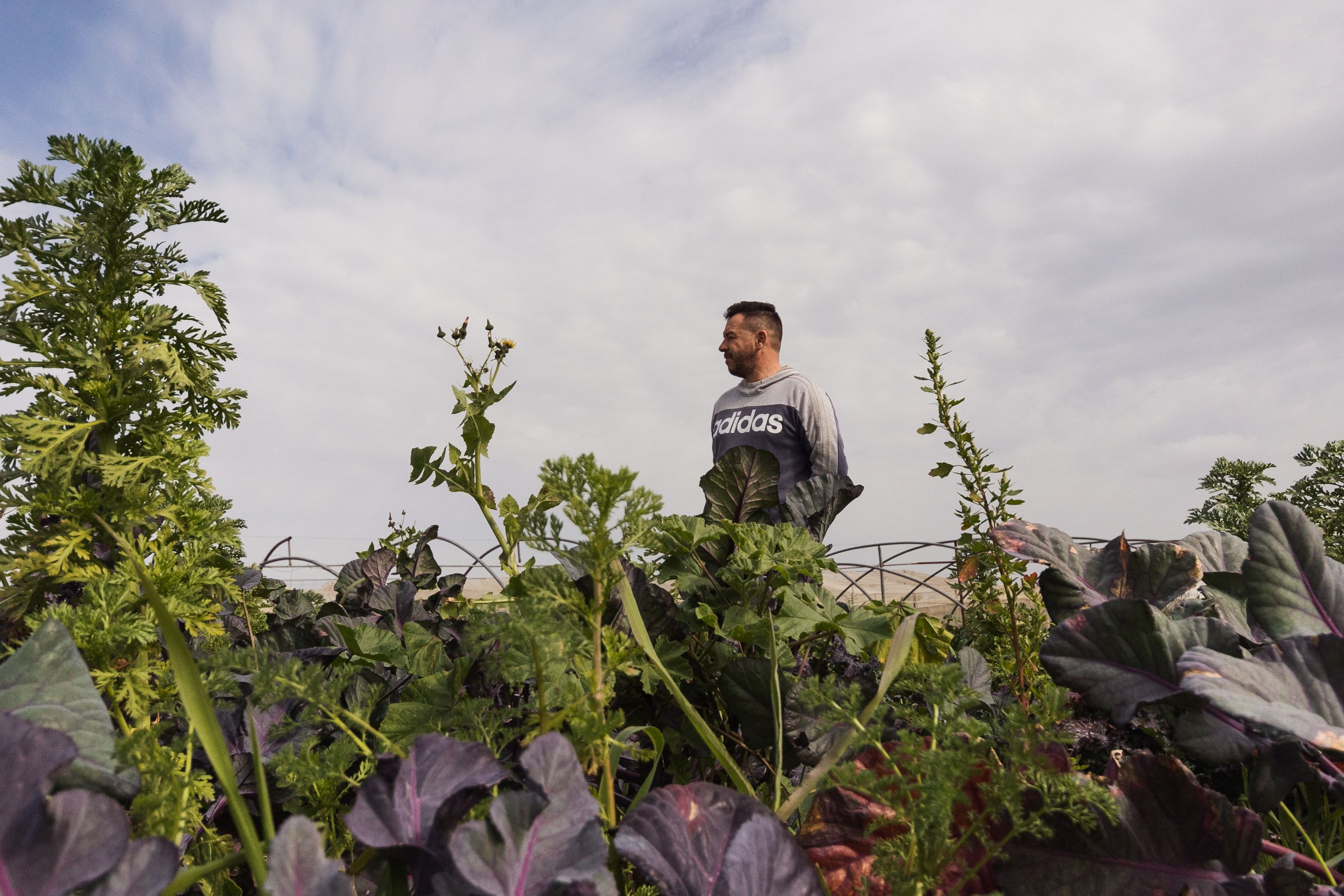 Juan Luis recorre el huerto ecológico. 