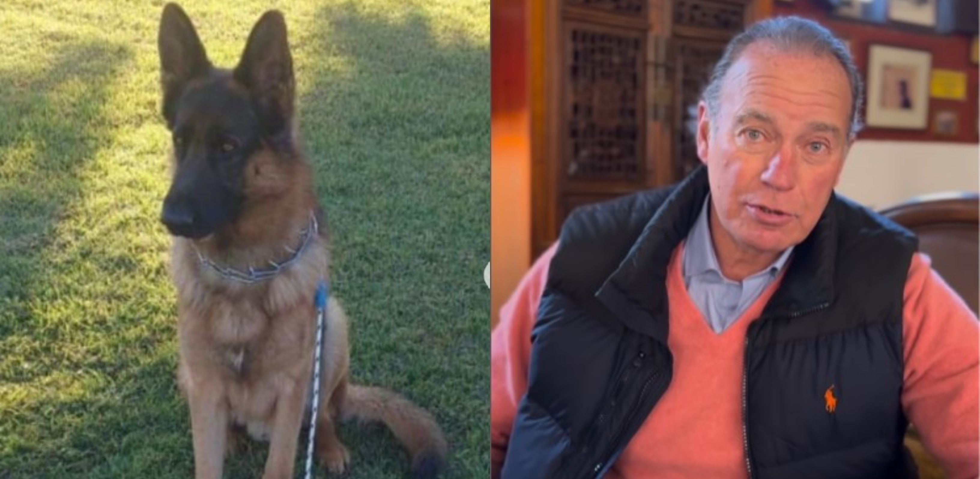 Bertín Osborne y su Perro. INSTAGRAM