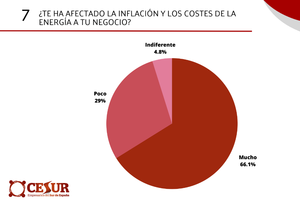 Cesur