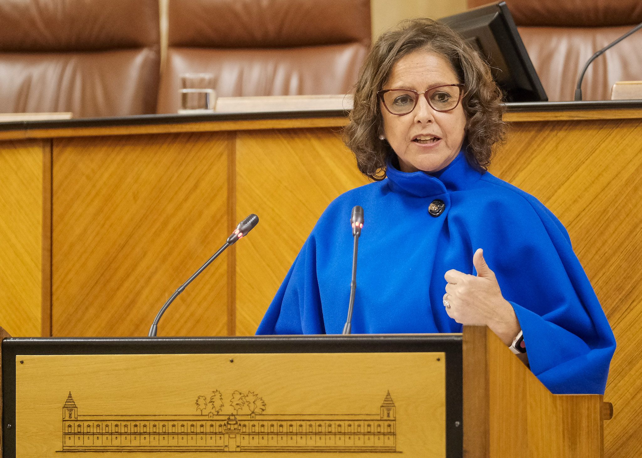 Catalina García, consejera de Salud de la Junta. Catalina García, consejera de Salud de la Junta.