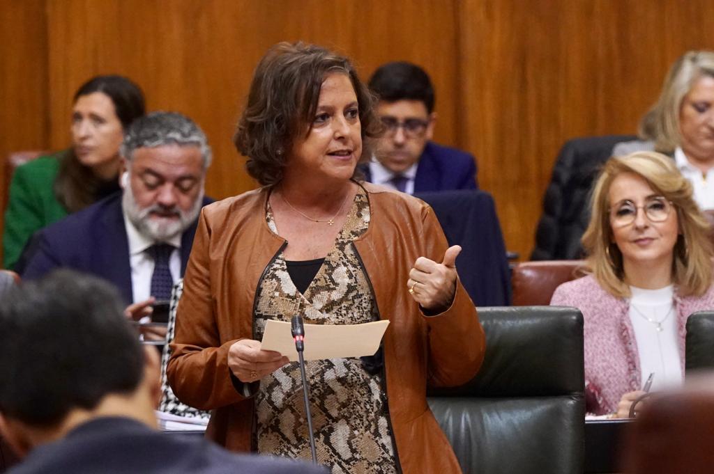 Catalina García, consejera de Salud de la Junta. Catalina García, consejera de Salud de la Junta.