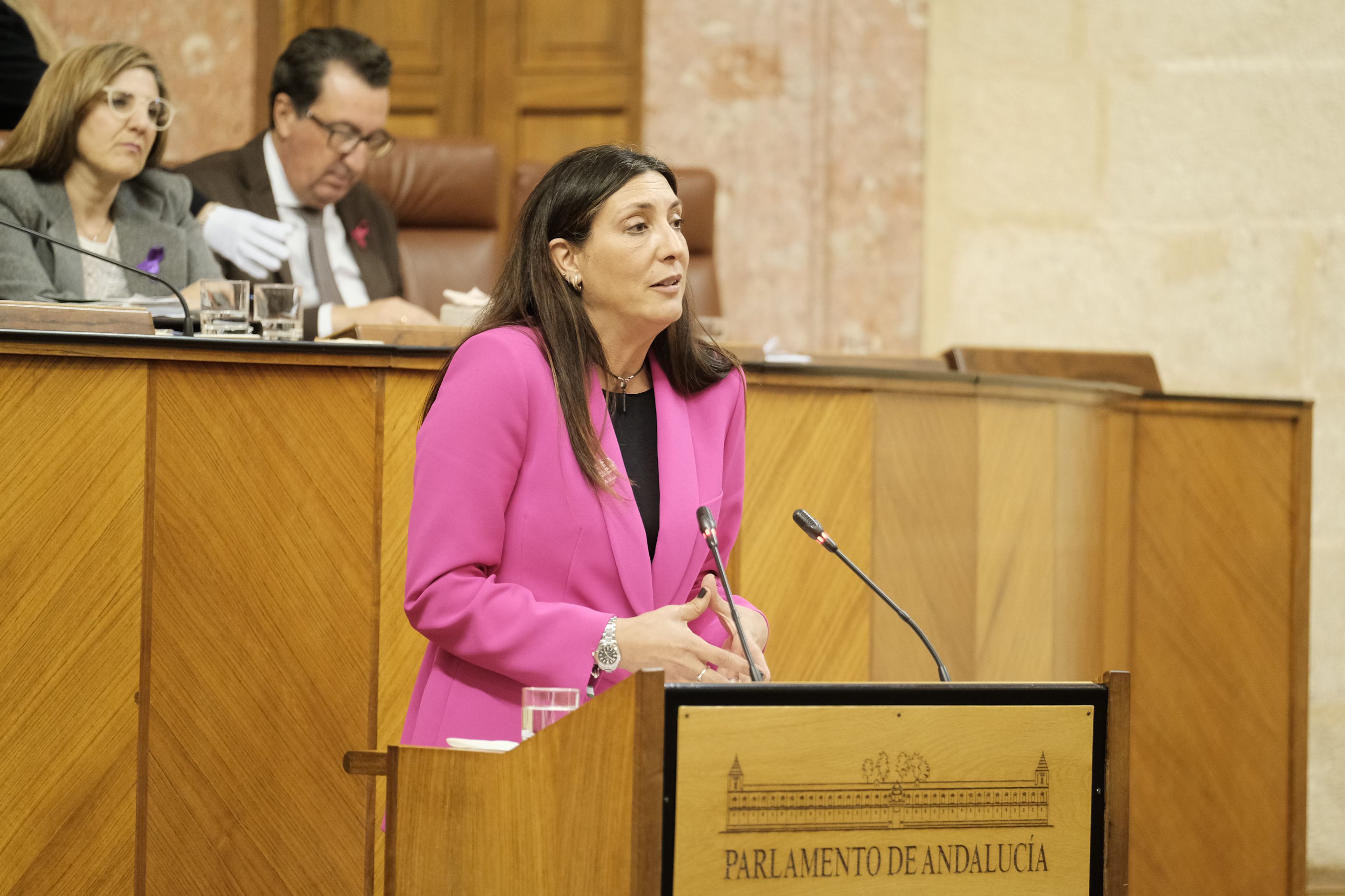 Loles López, consejera de Igualdad, durante su intervención en el Parlamento. Loles López, consejera de Igualdad, durante su intervención en el Parlamento.