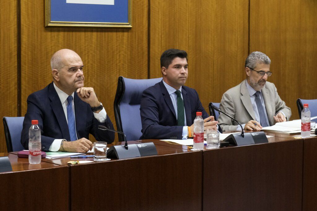 Una imagen de la comisión de la Faffe en la anterior legislatura.