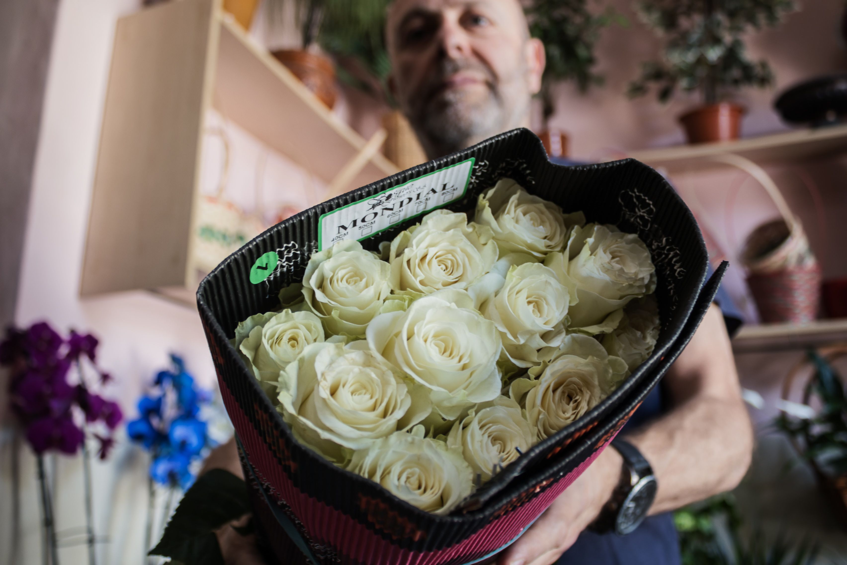 FLORISTERIA LA ESPERANZA 2