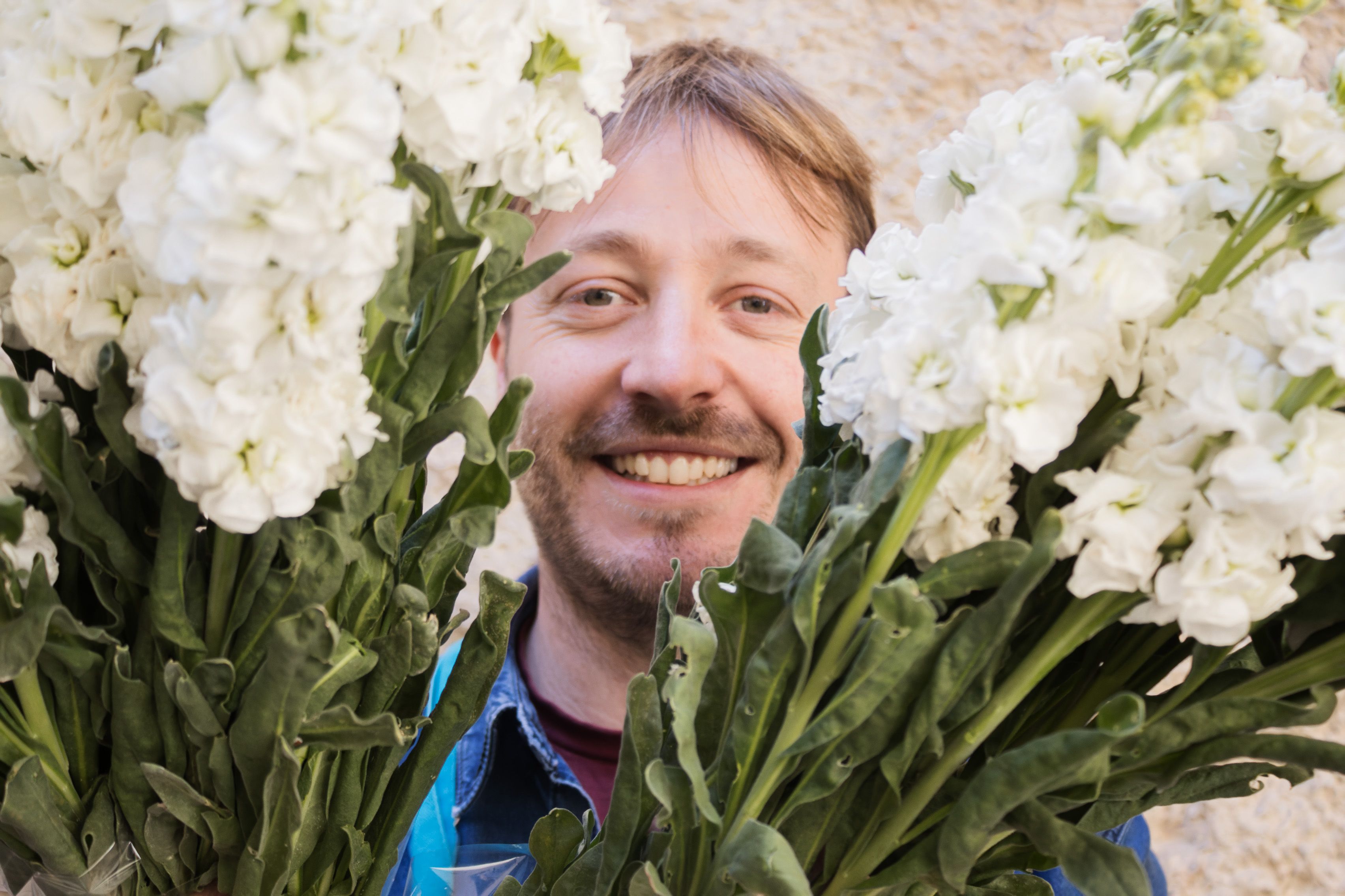 FLORISTERIA OLMEDO 10