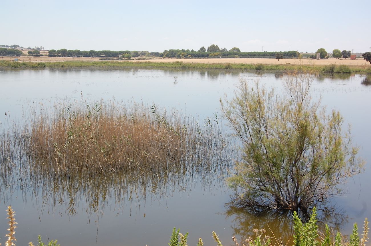 La laguna de Los Tollos, en una imagen reciente.