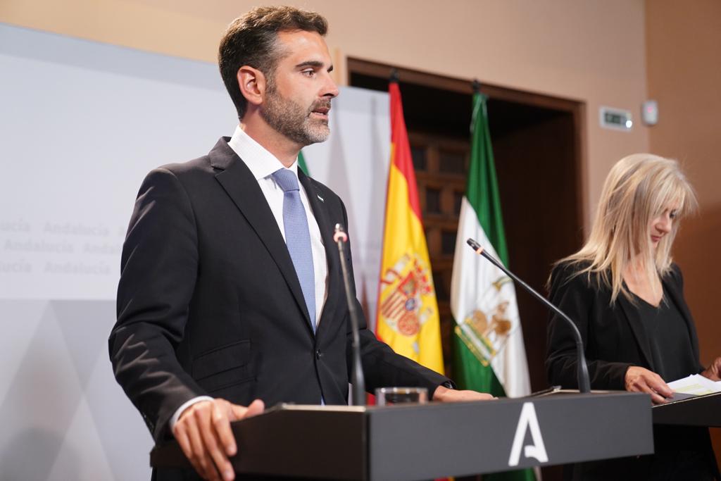 Ramón Fernández-Pacheco, portavoz de la Junta.