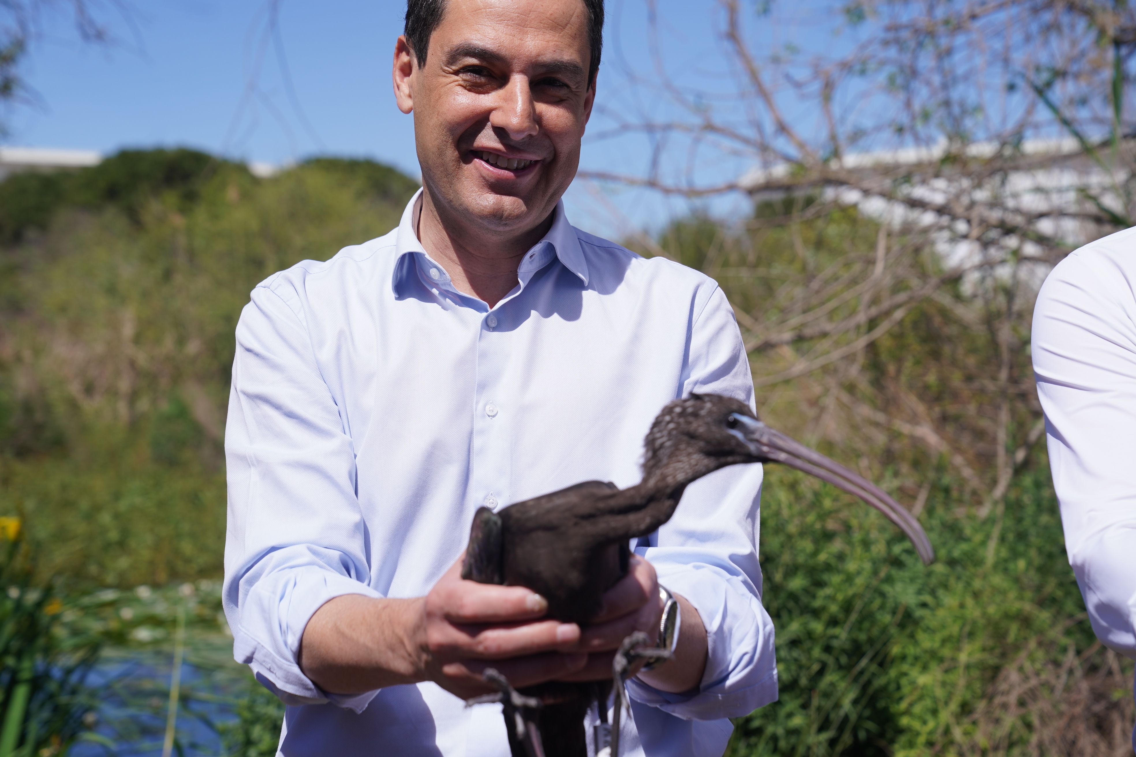 Juanma Moreno, líder del PP y presidente de la Junta.