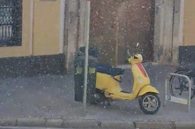 Plaga de mosquitas en Sevilla. MARI CARMEN G.P.S.