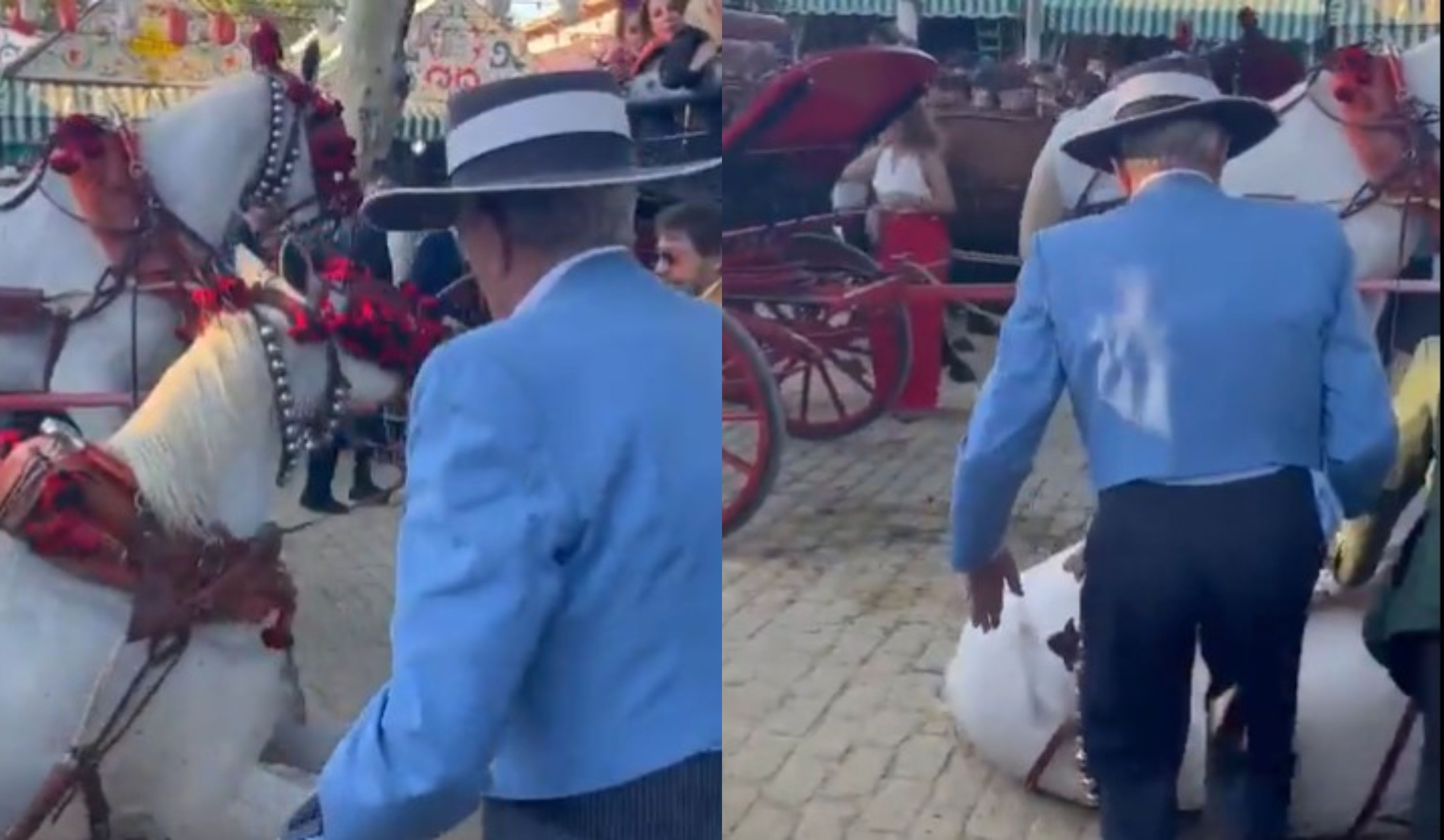 Caso de maltrato animal en la Feria de Sevilla.. INSTAGRAM Caso de maltrato animal en la Feria de Sevilla.. INSTAGRAM