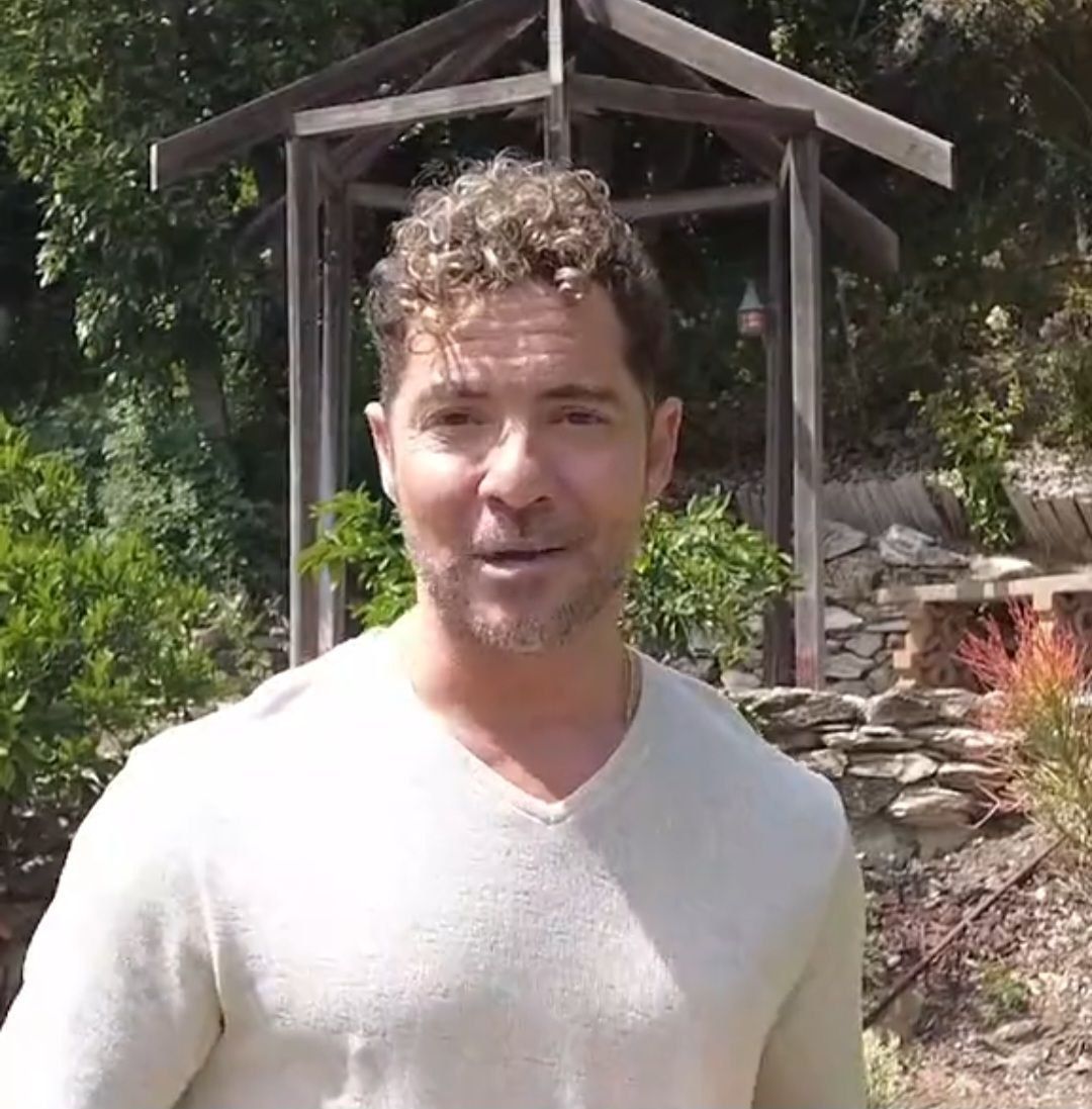 Bisbal en su vídeo de agradecimiento. Bisbal en su vídeo de agradecimiento.