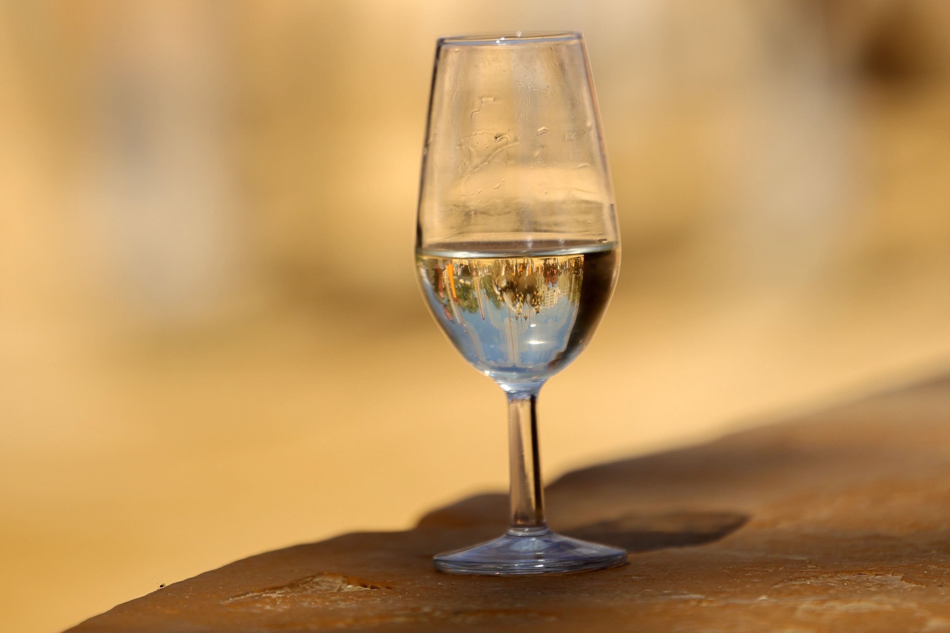 Una copa de fino en la última Feria del Caballo de Jerez.