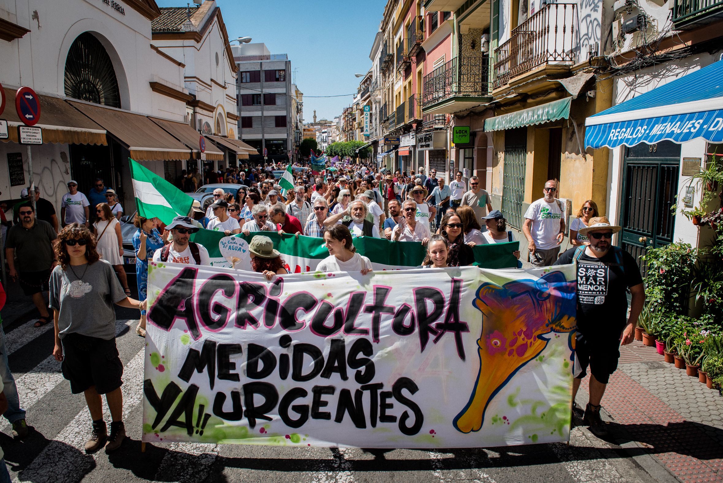SALVEMOS DOÑANA. SEVILLA 19