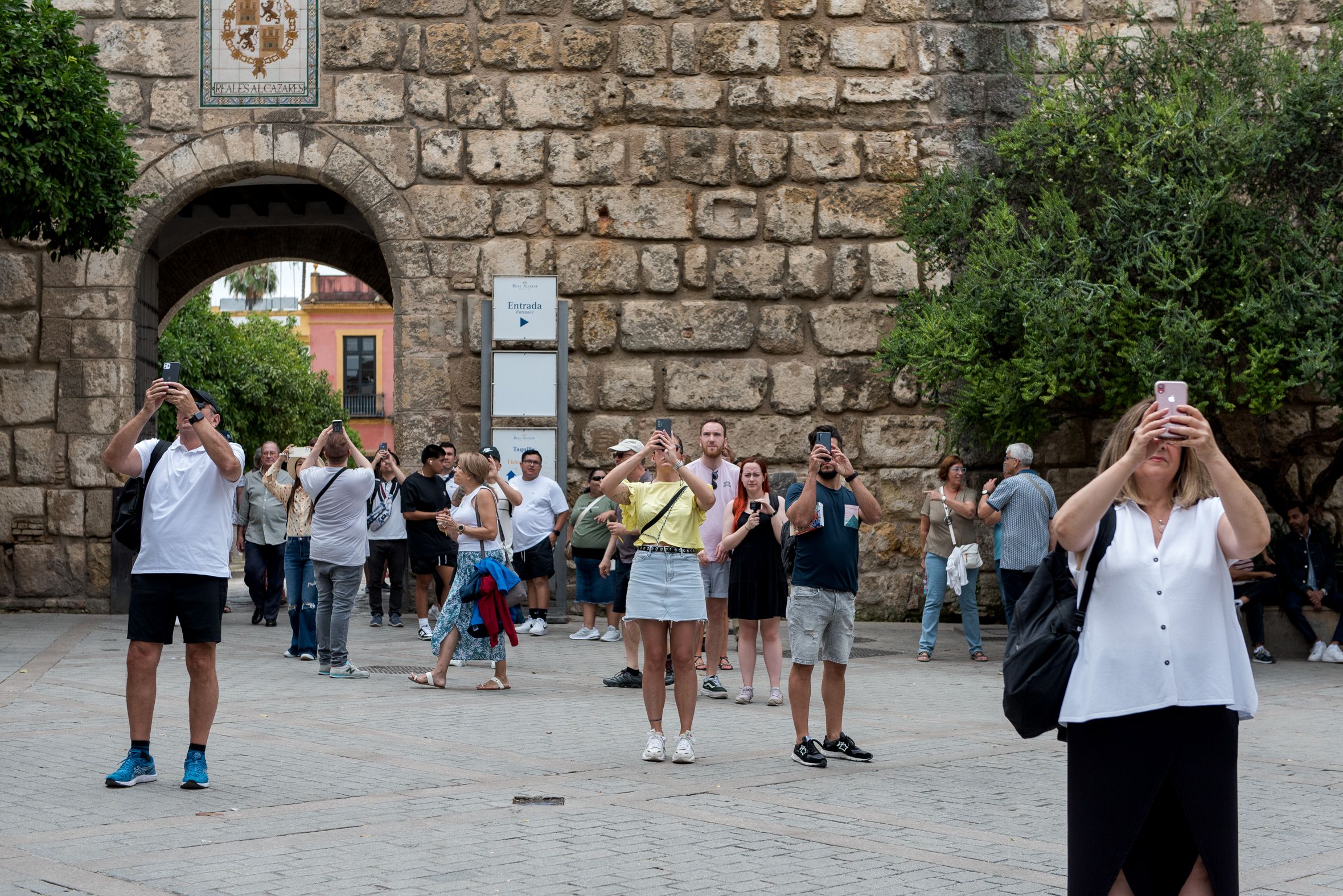 Un grupo de turistas fotografía la Catedral de Sevilla desde el Alcázar. Andalucía aún no tiene la tasa turística. Un grupo de turistas fotografía la Catedral de Sevilla desde el Alcázar. Andalucía aún no tiene la tasa turística.