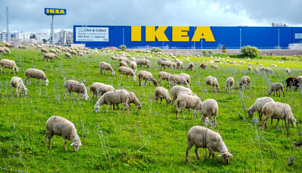 Vista de archivo de la tienda de Ikea en Jerez.