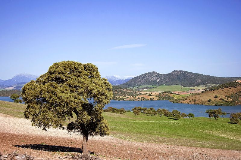 El embalse de Guadalcacín, en una imagen de archivo.