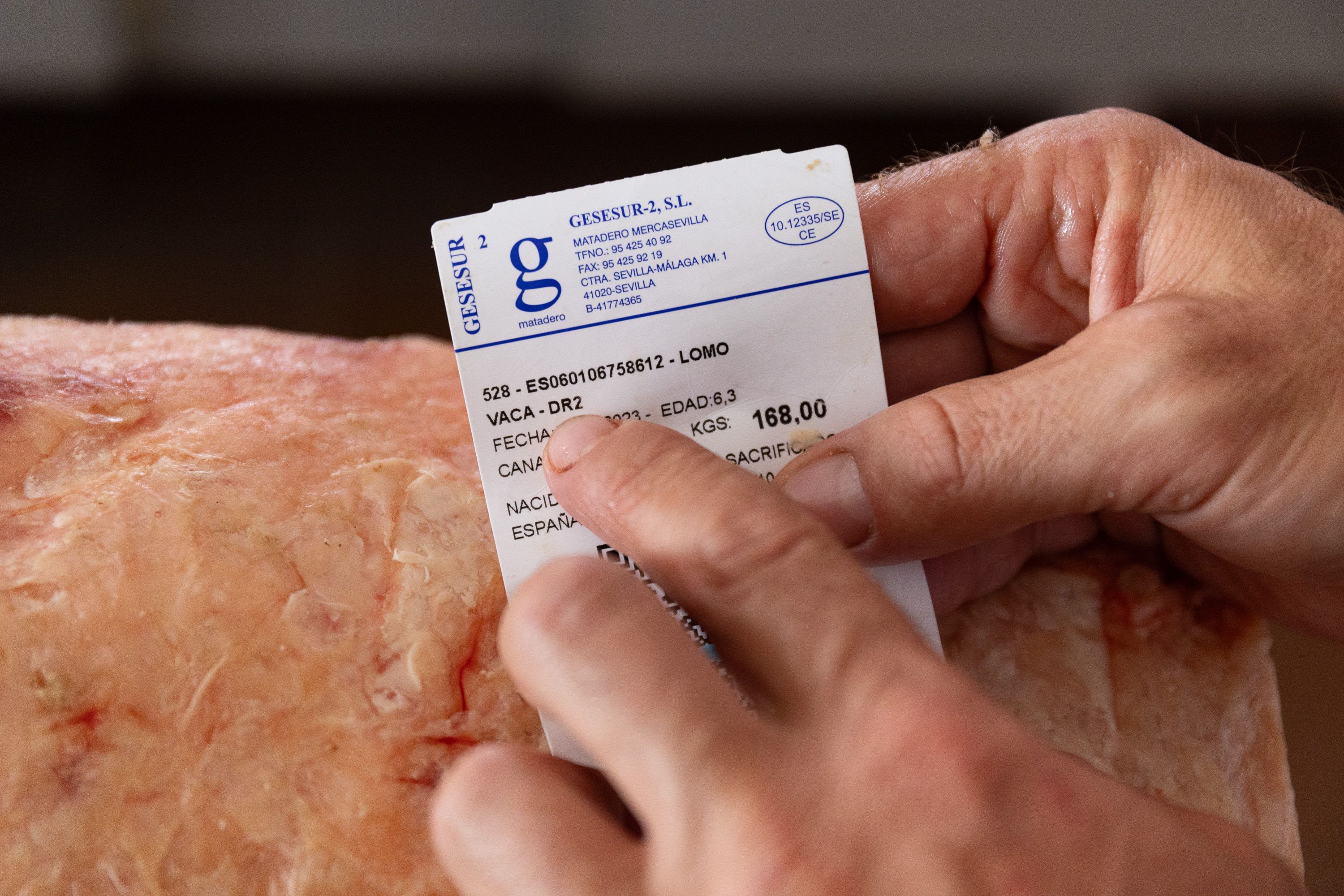 Carne de retinto bolonia  006