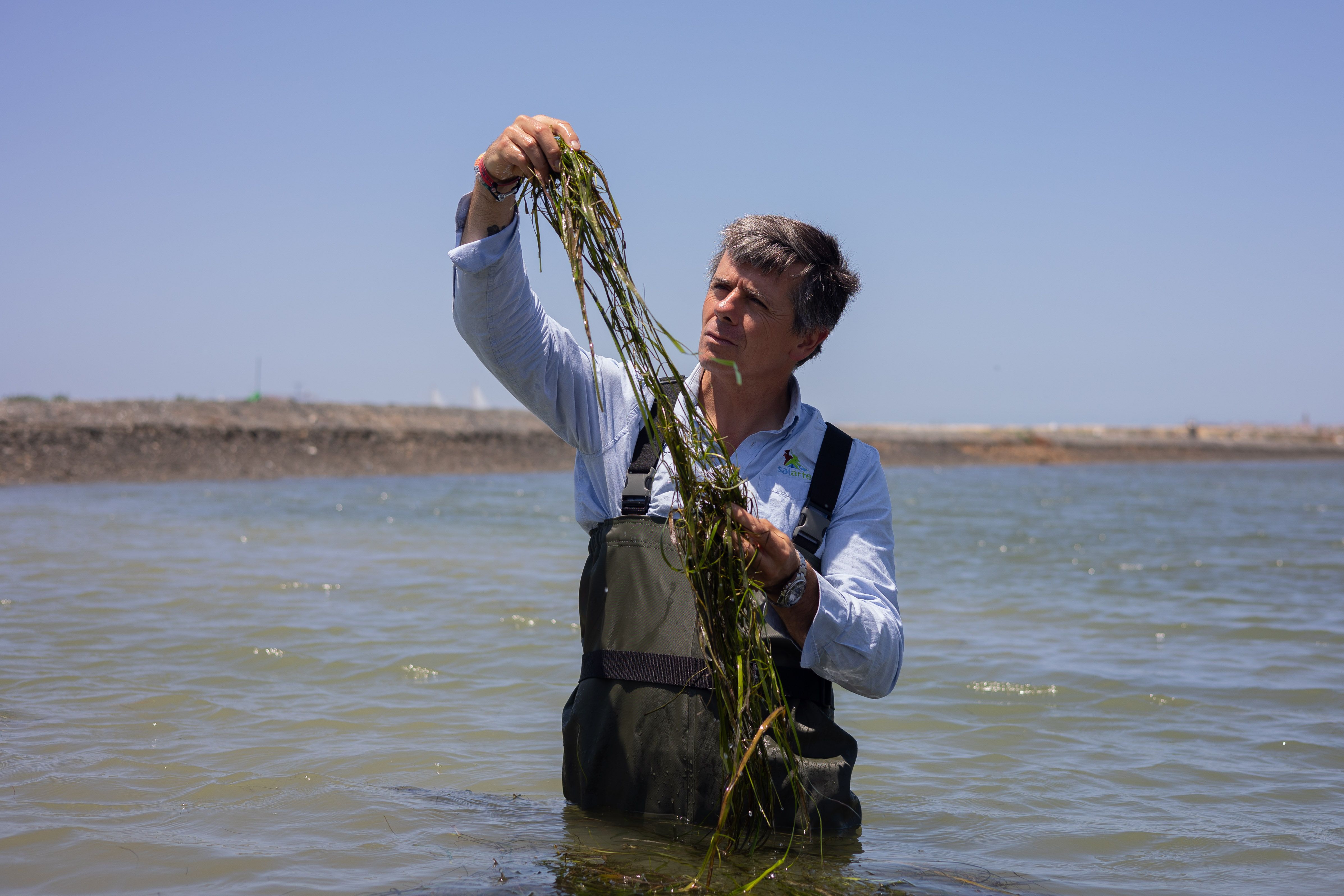 Juan enseña la zostera marina. 