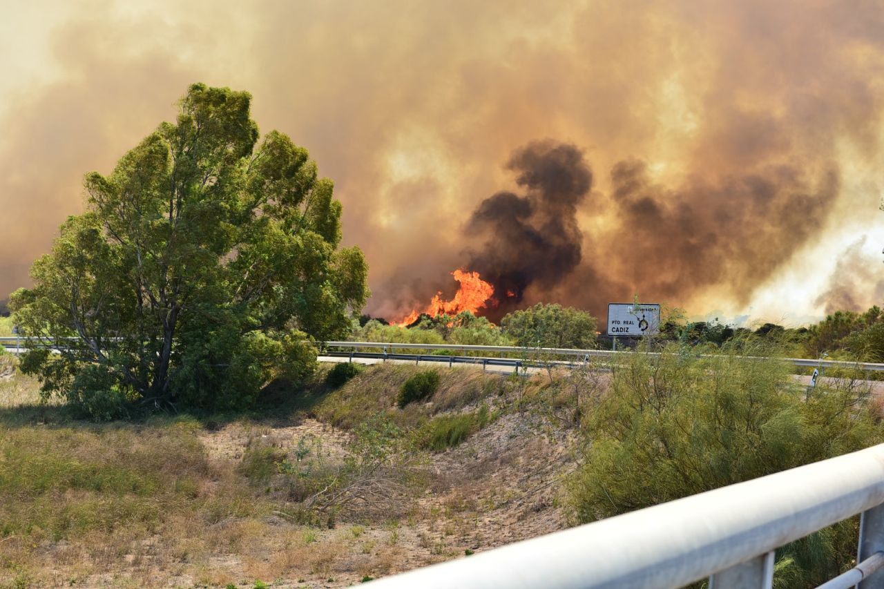 El fuego, muy cerca de la autovía.