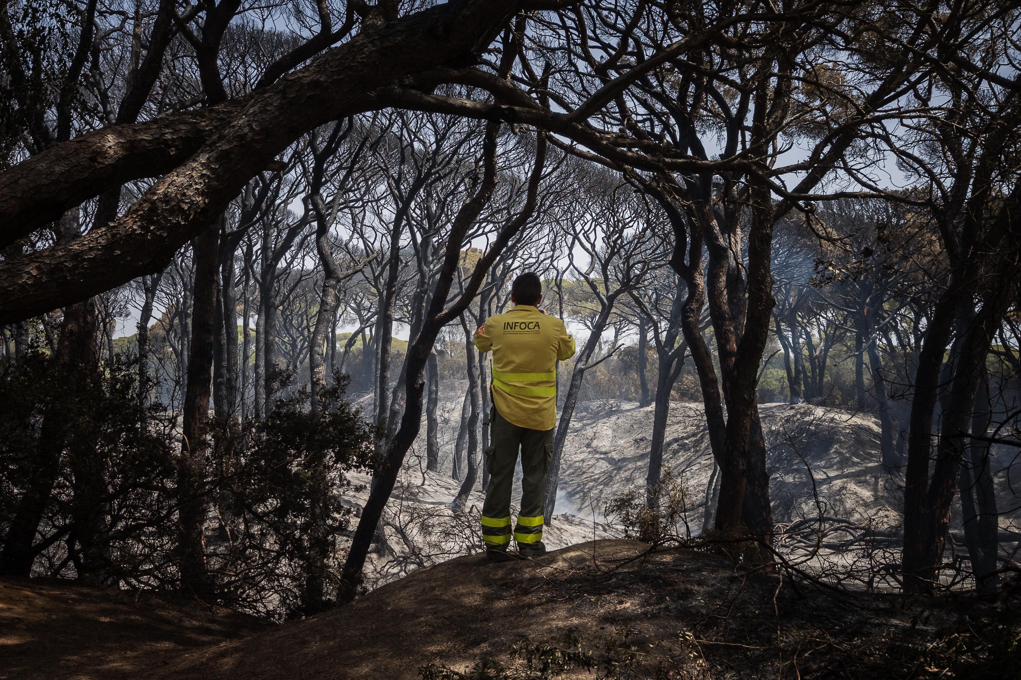 Un bombero del Plan Infoca observa el horizonte del parque de Las Canteras, foco principal del incendio de Puerto Real el pasado verano. Un bombero del Plan Infoca observa el horizonte del parque de Las Canteras, foco principal del incendio de Puerto Real el pasado verano.