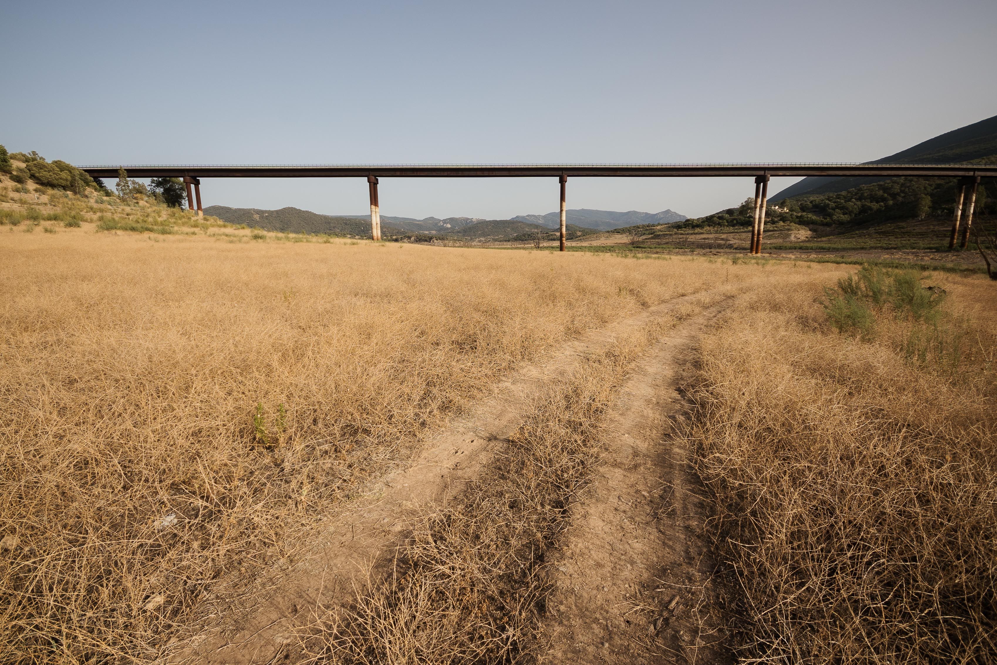 Puente Picao desde abajo