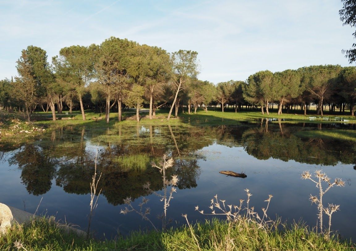 La laguna de El Sapo puede sufrir la urbanización próxima de 3.000 viviendas
