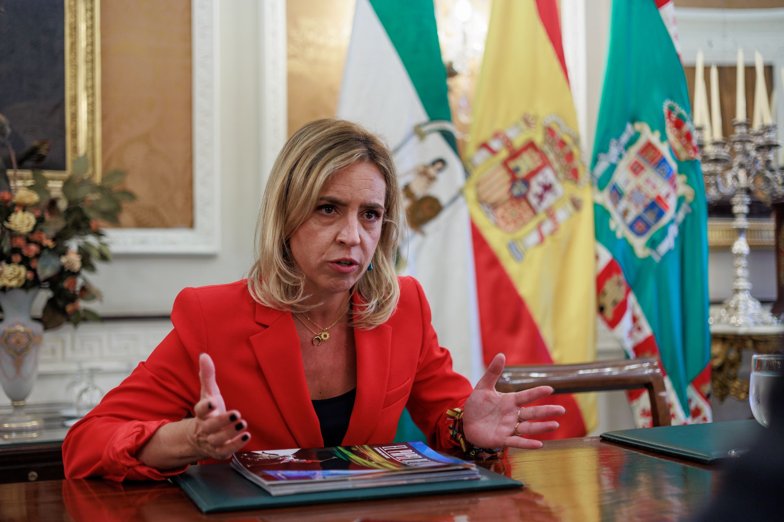 Almudena Alvarez, presidenta diputacion  40
