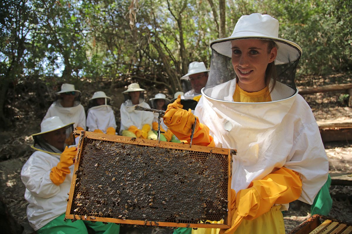 Una apicultora en el Rancho Cortesano. FOTO: JUAN CARLOS TORO. 