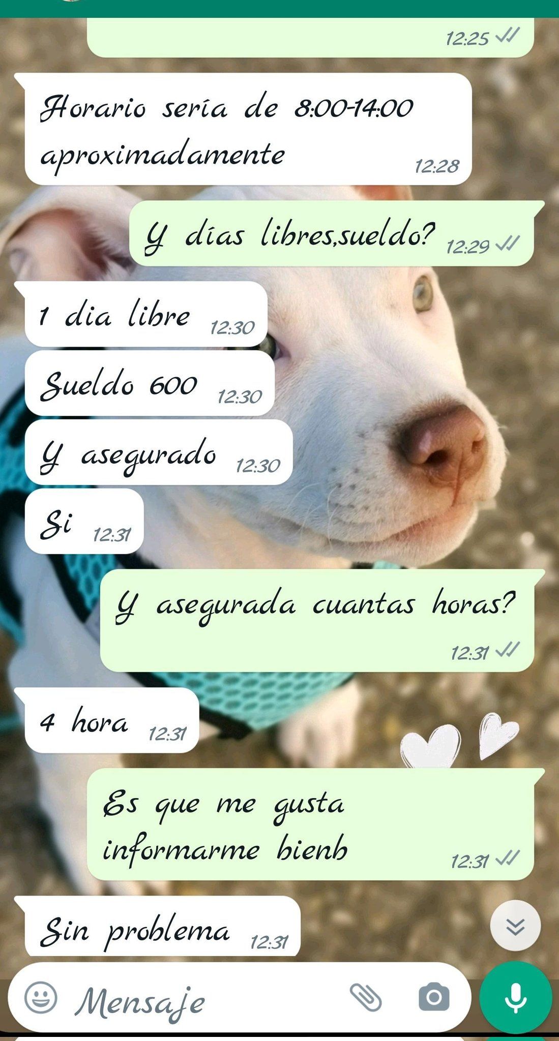 F7mEQkRXYAEdsqt