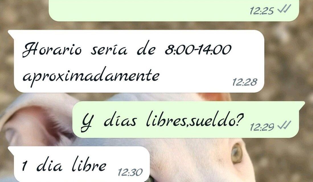 Un extracto de la oferta de empleo en un establecimiento de Jerez.