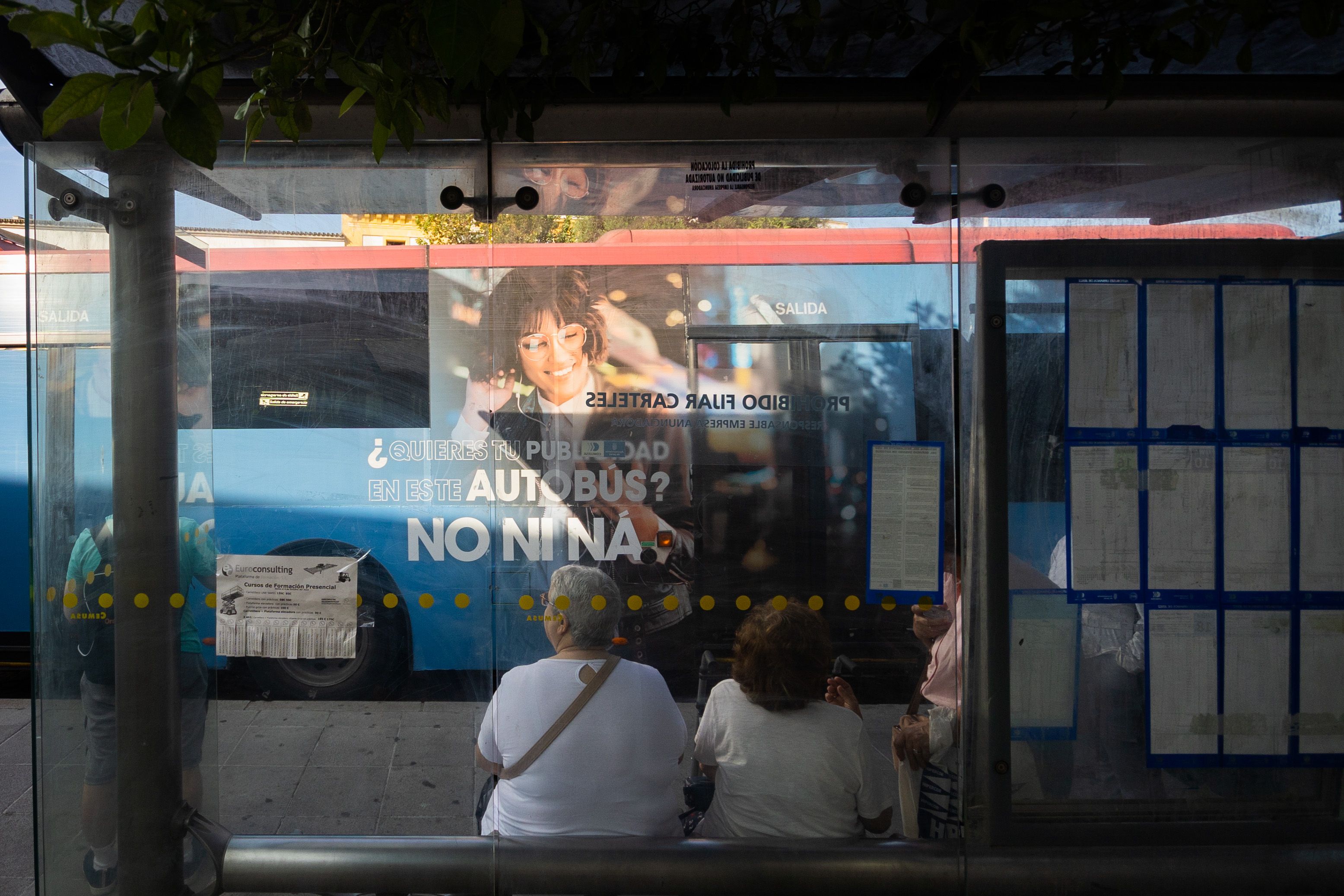 Autobuses de Jerez, gestionados por la empresa municipal Comujesa. 