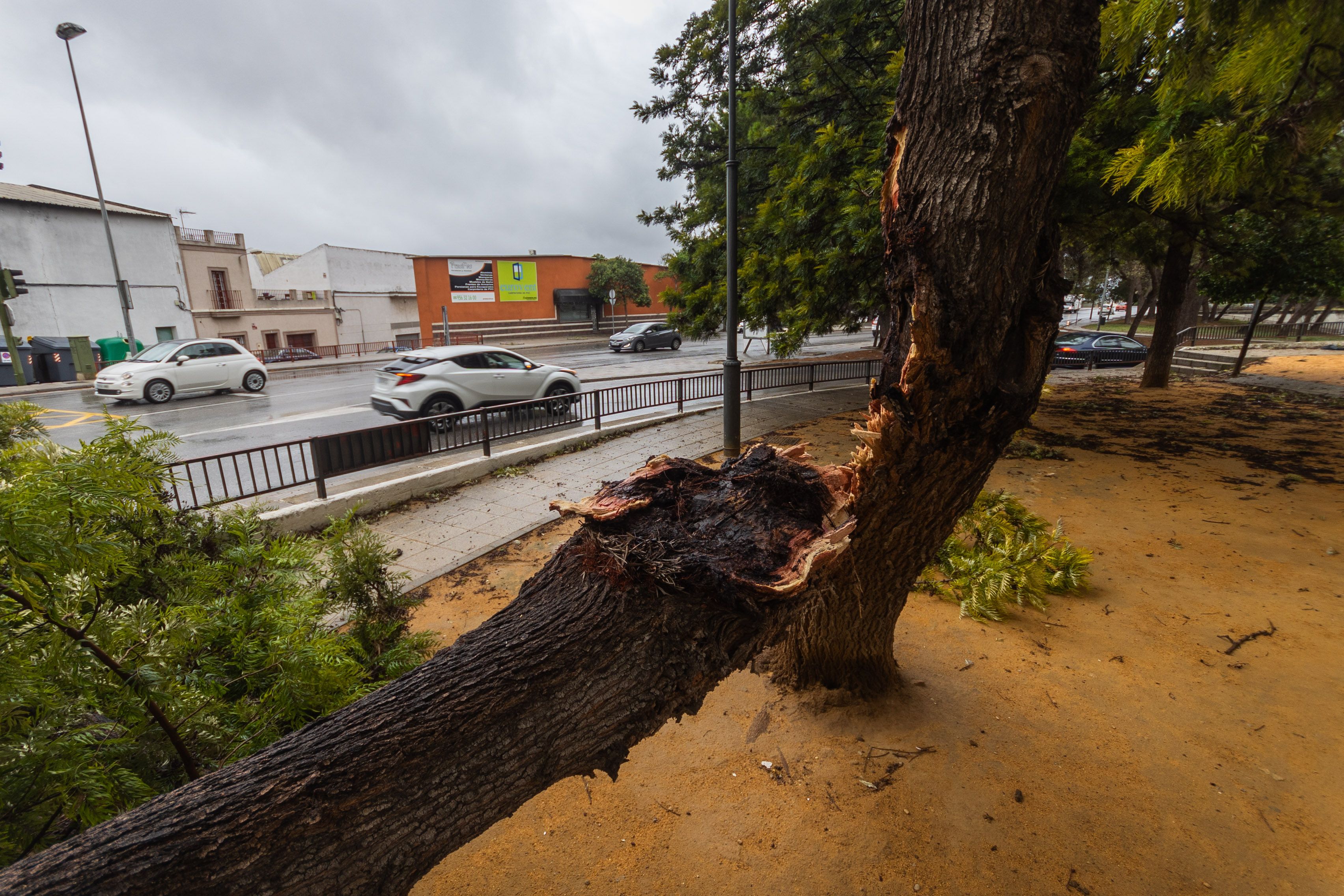 Las imágenes de la borrasca 'Aline' a su paso por Jerez en octubre del año pasado. 
