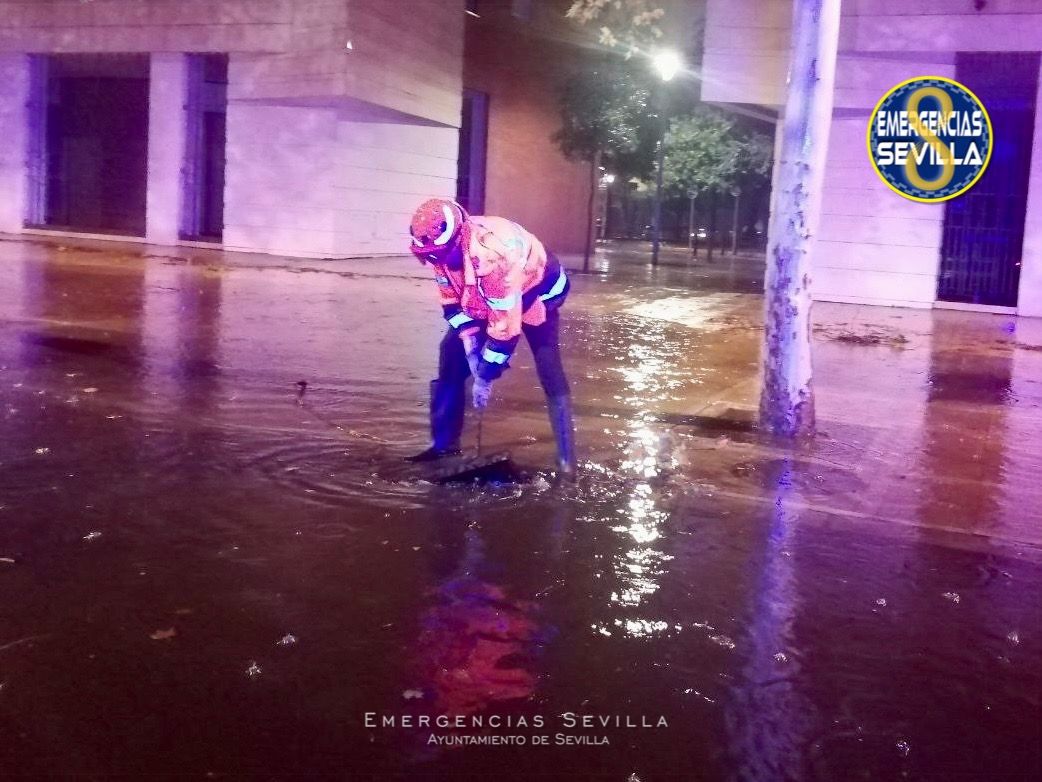 Una de las muchas intervenciones de los equipos de emergencia y operarios municipales en Sevilla. Una de las muchas intervenciones de los equipos de emergencia y operarios municipales en Sevilla.